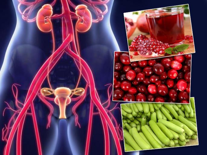 Urine Infection Home Remedies Treatment These 7 Drinks Cure Urine